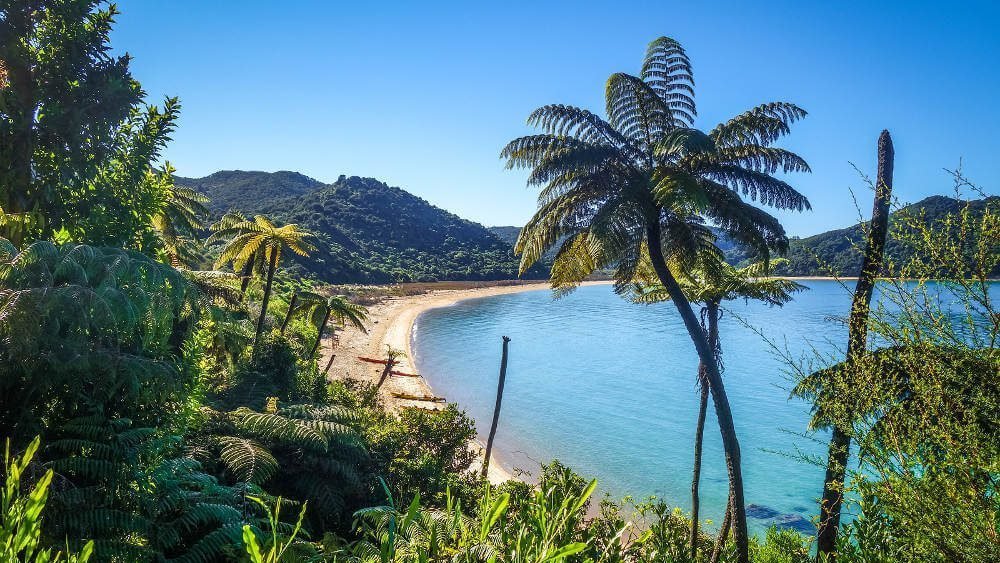Abel Tasman National Park Nieuw Zeeland