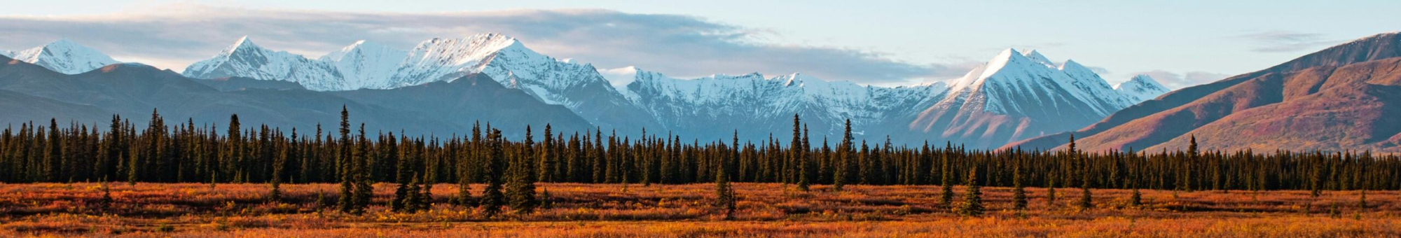 Amerika-Alaska-Denali-national-park