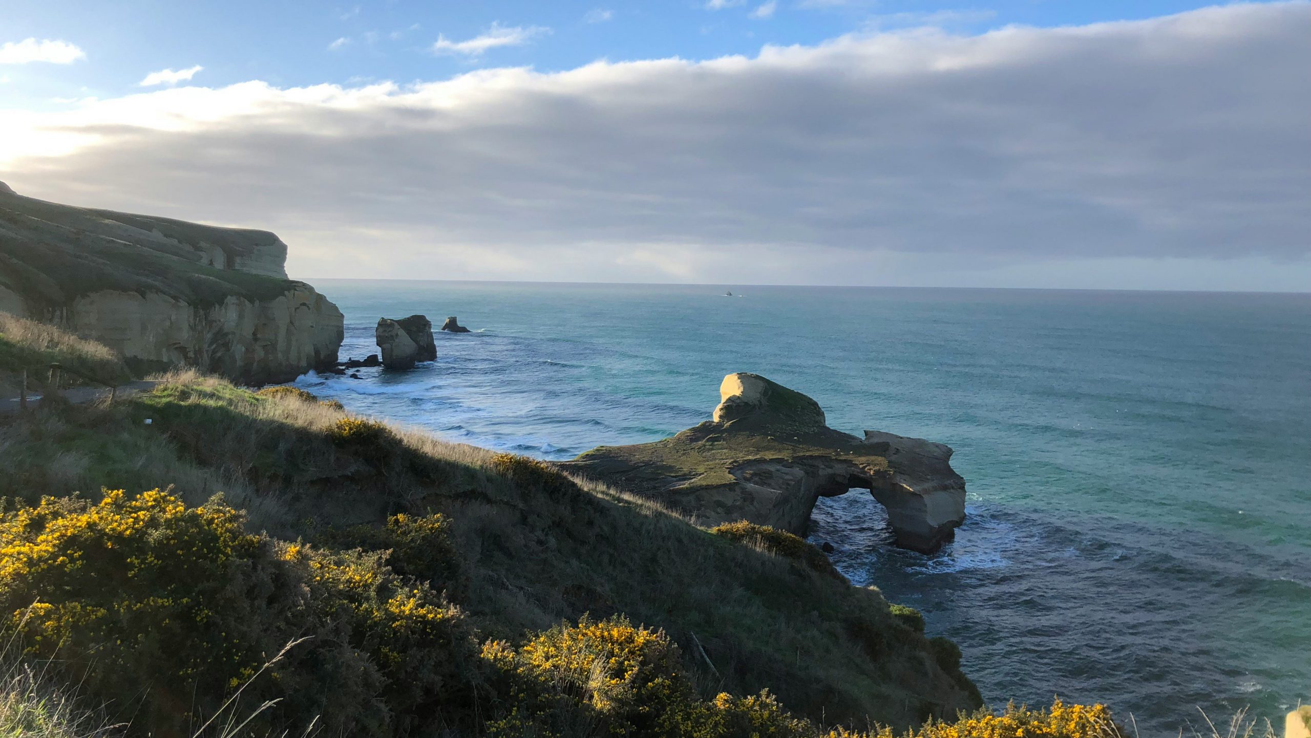 Dunedin NZ Kust Unsplash OG | Rondreis Nieuw Zeeland