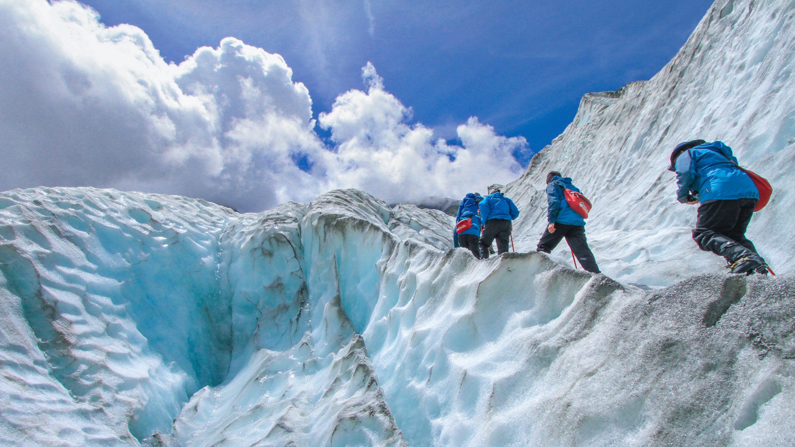 NZ Franz Josef Glacier | Rondreis Nieuw Zeeland