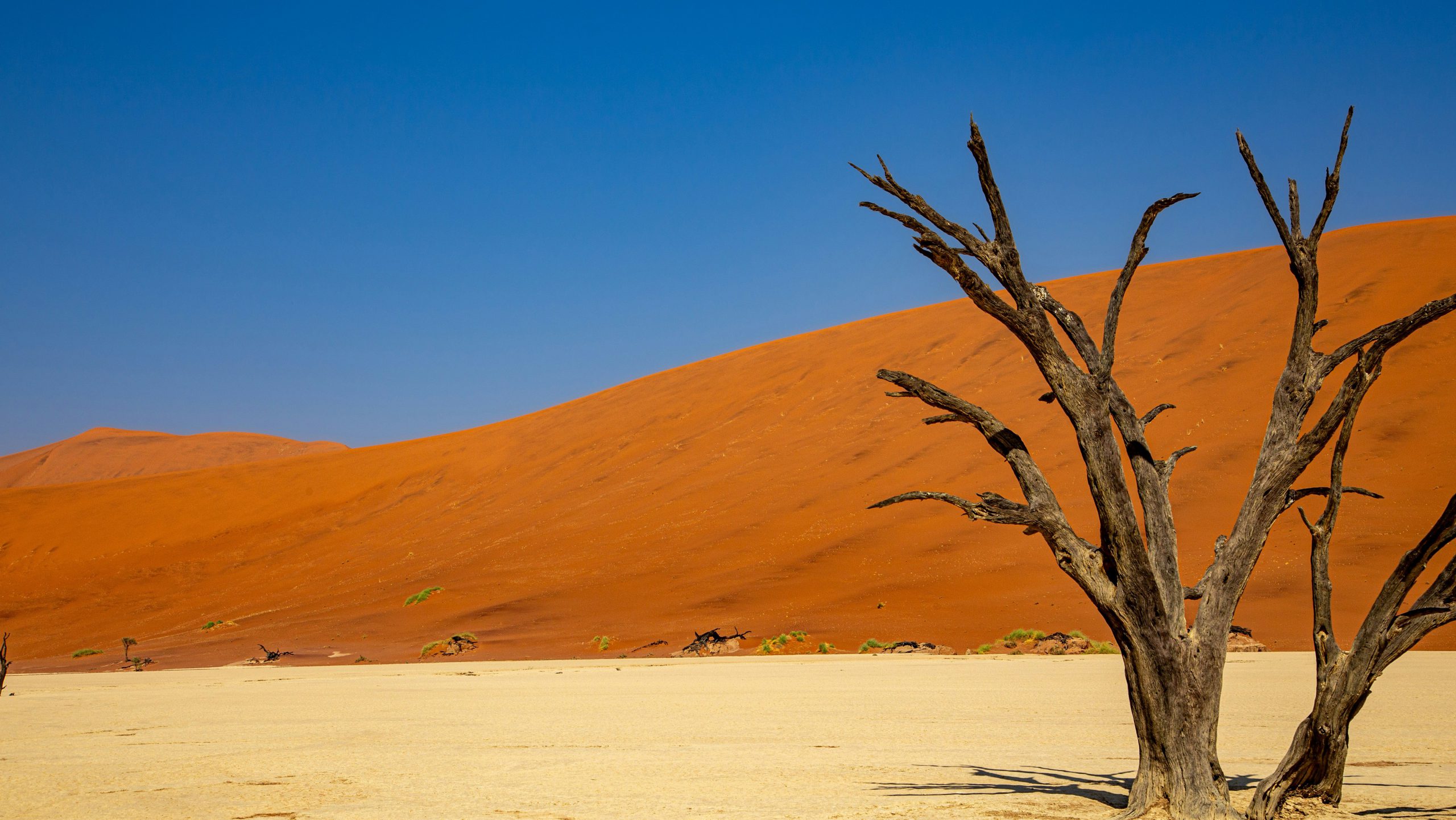 Deadvlei Namibië