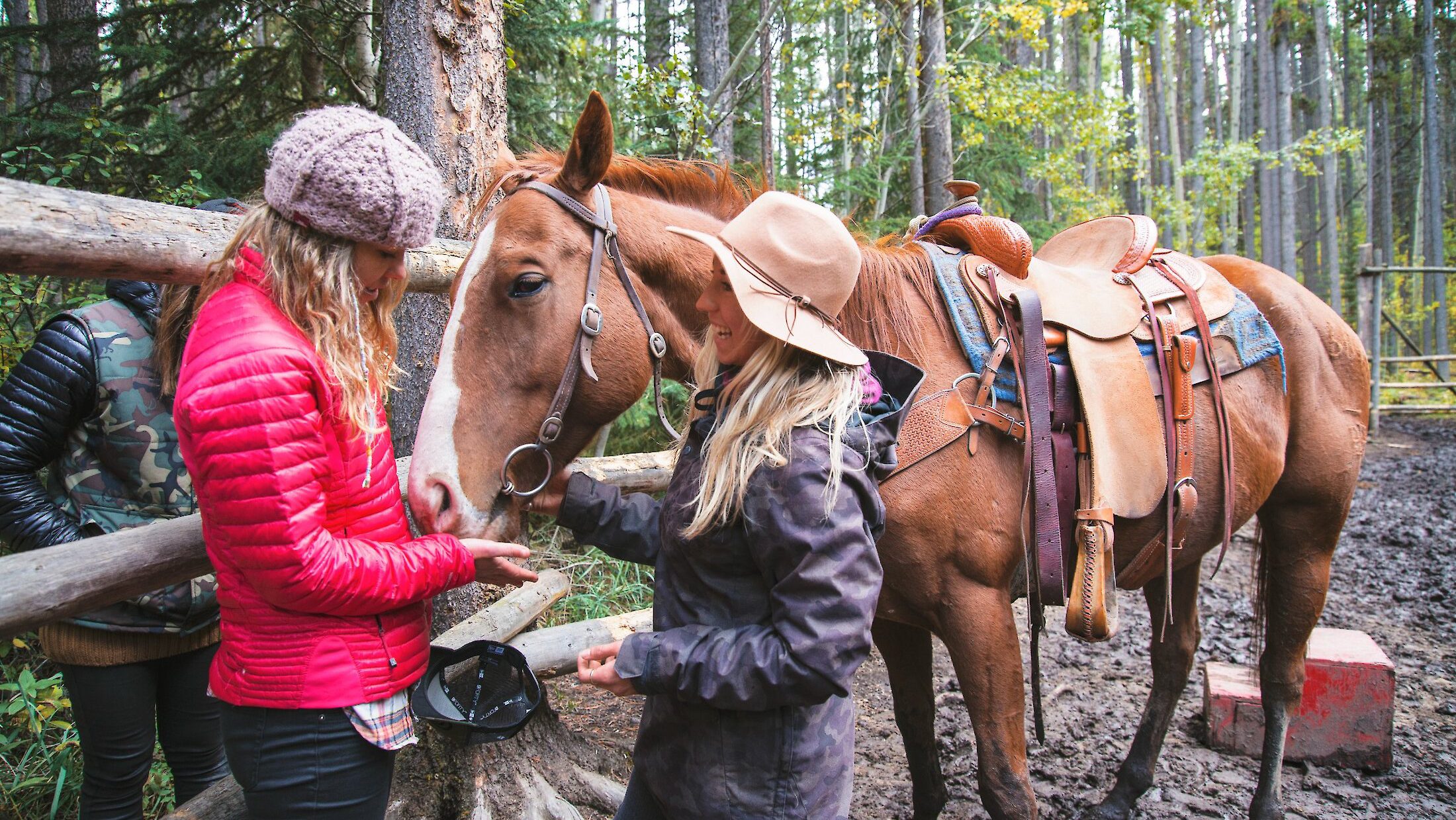 cowboy-cookout-banff-excursie