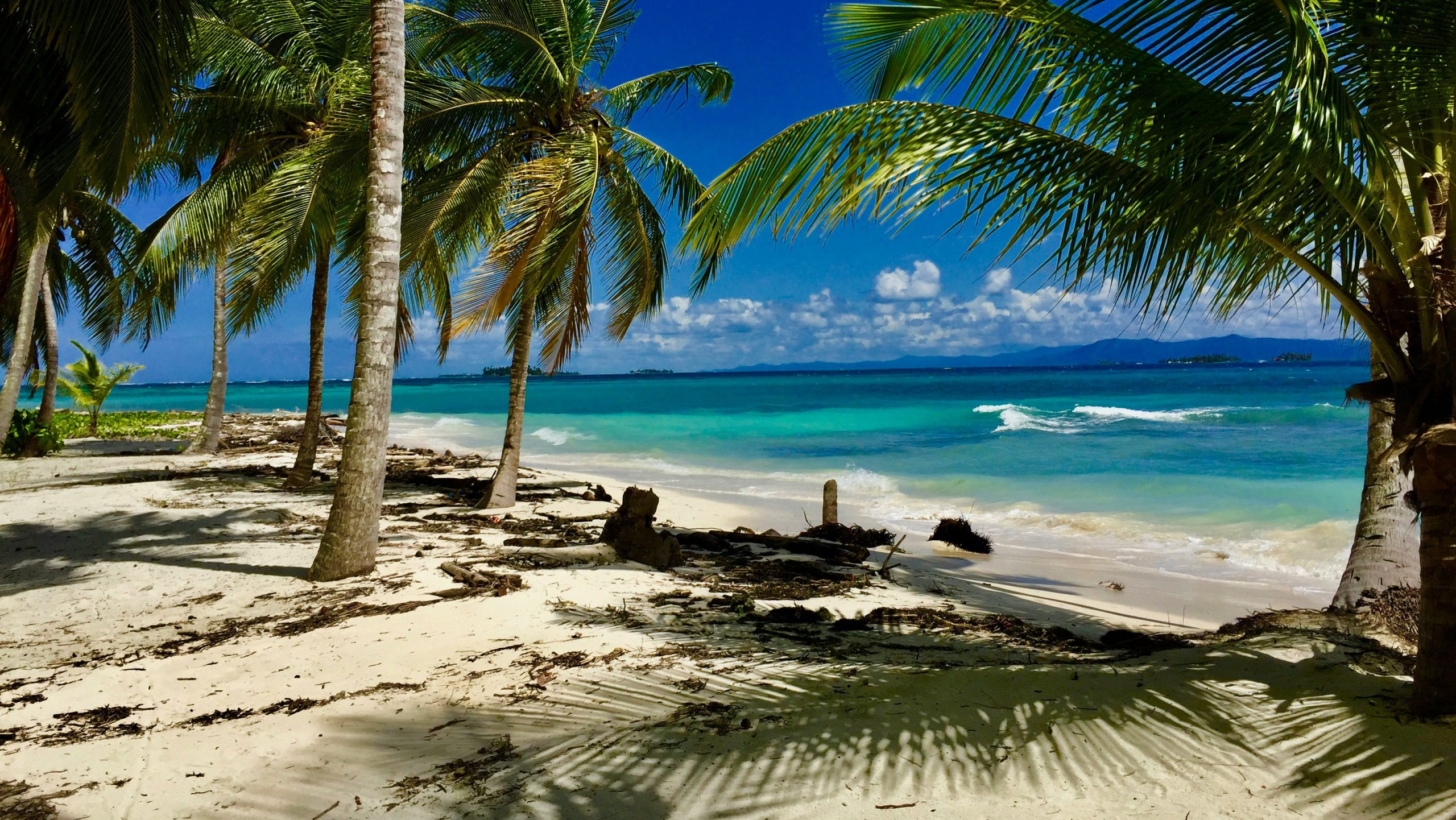 Rondreis Panama, San Blas eilanden, strand met palmbomen