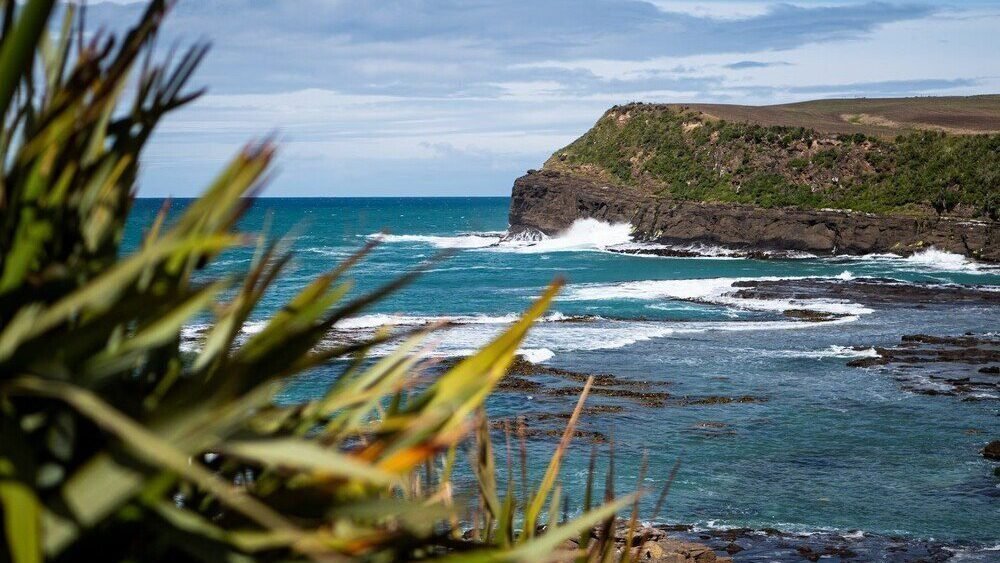 Catlins Coastal | NZ