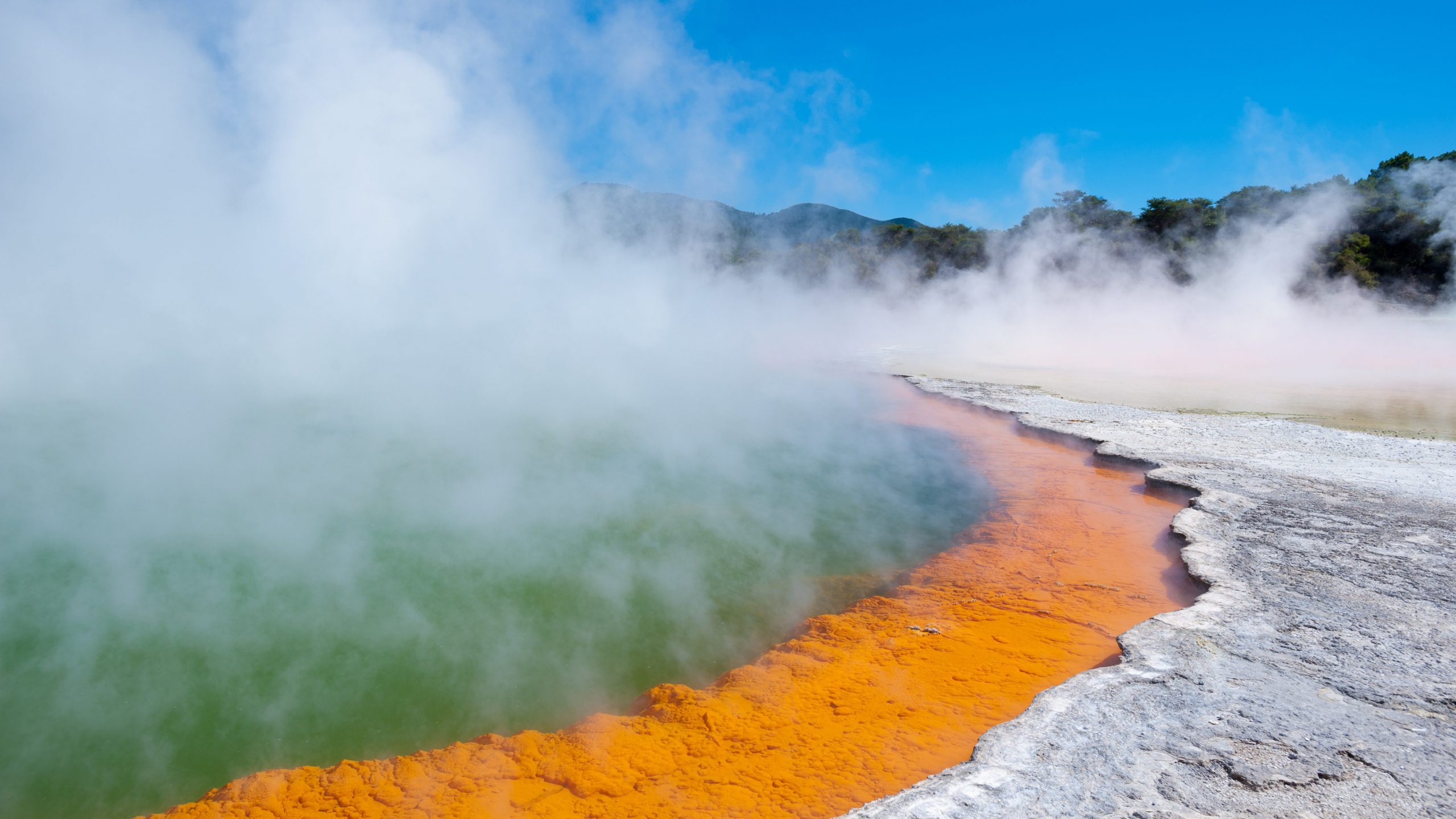 Rotorua geiser | Rondreis Nieuw-Zeeland