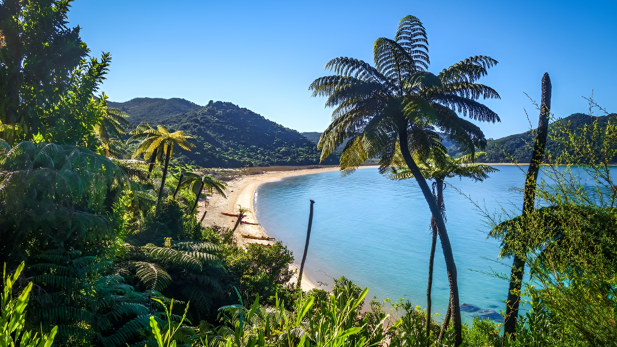 Abel Tasman National Park | Nieuw Zeeland