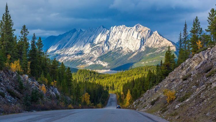 Alberta-Jasper-NP-road