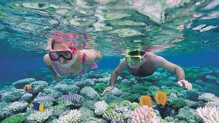 Great Barrier Reef, Australië, twee mensen die snorkelen