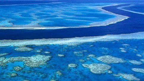 Great Barrier Reef, Australië