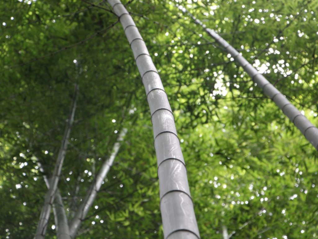 Excursies | WRC Reizen