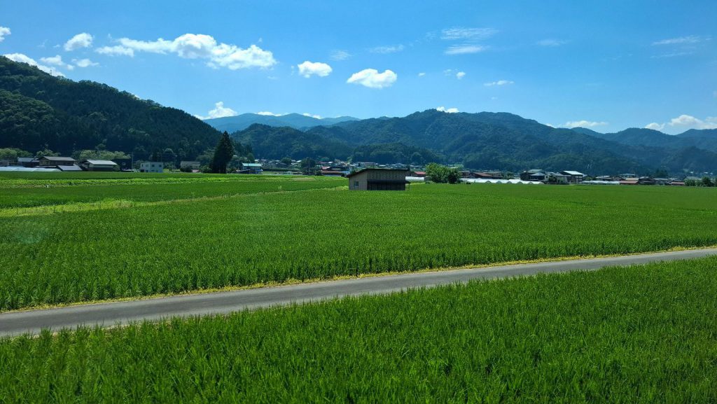 Rondreis Japan, Takayama, Excursie Fietstour Door Hida Furukawa, Rijstvelden