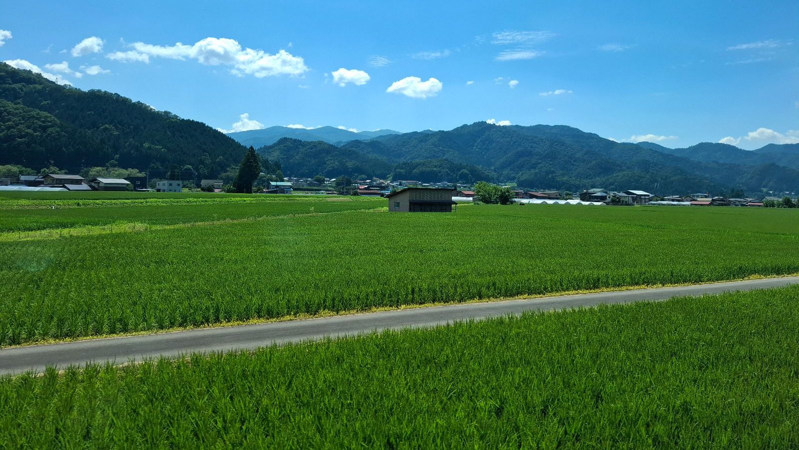 Rondreis Japan, Takayama, Excursie Fietstour Door Hida Furukawa, Rijstvelden