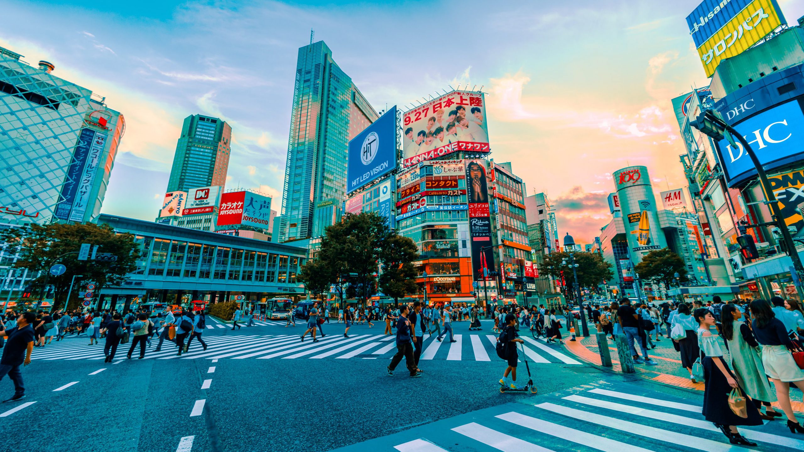 Rondreis Japan Tokio Tokyo