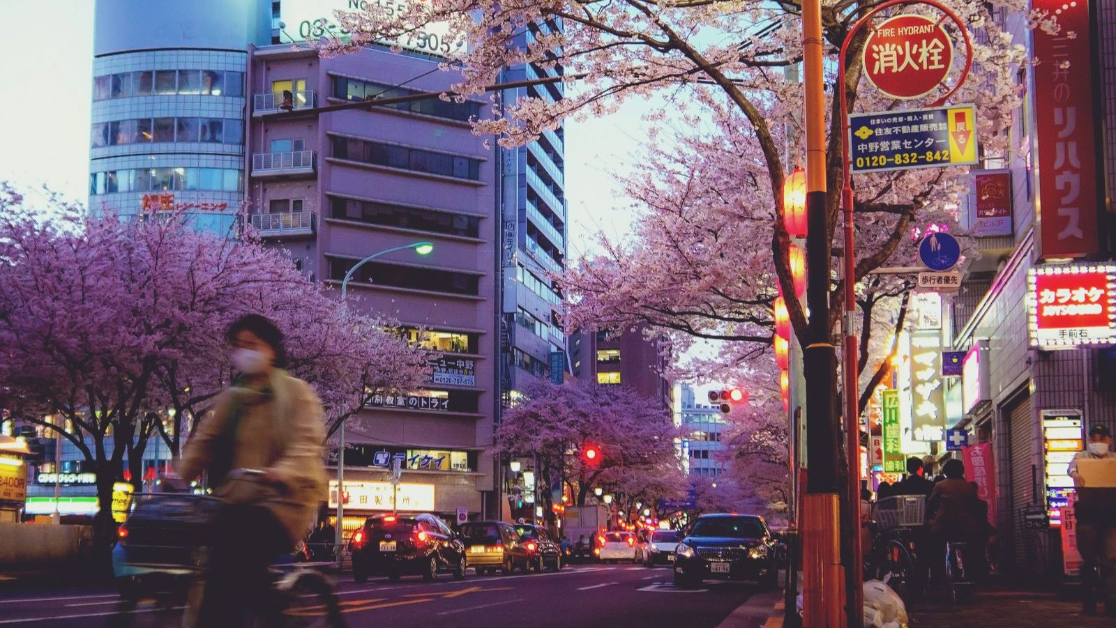 Rondreis Japan, Tokyo, Excursie Tokyo Foodtour, Fietser In Schermering Op Straat