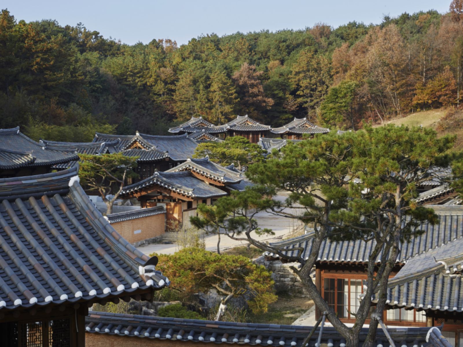 Rondreis Zuid Korea, Andong, Rakkojae Hahoe Hanok Hotel, Buitenaanzicht