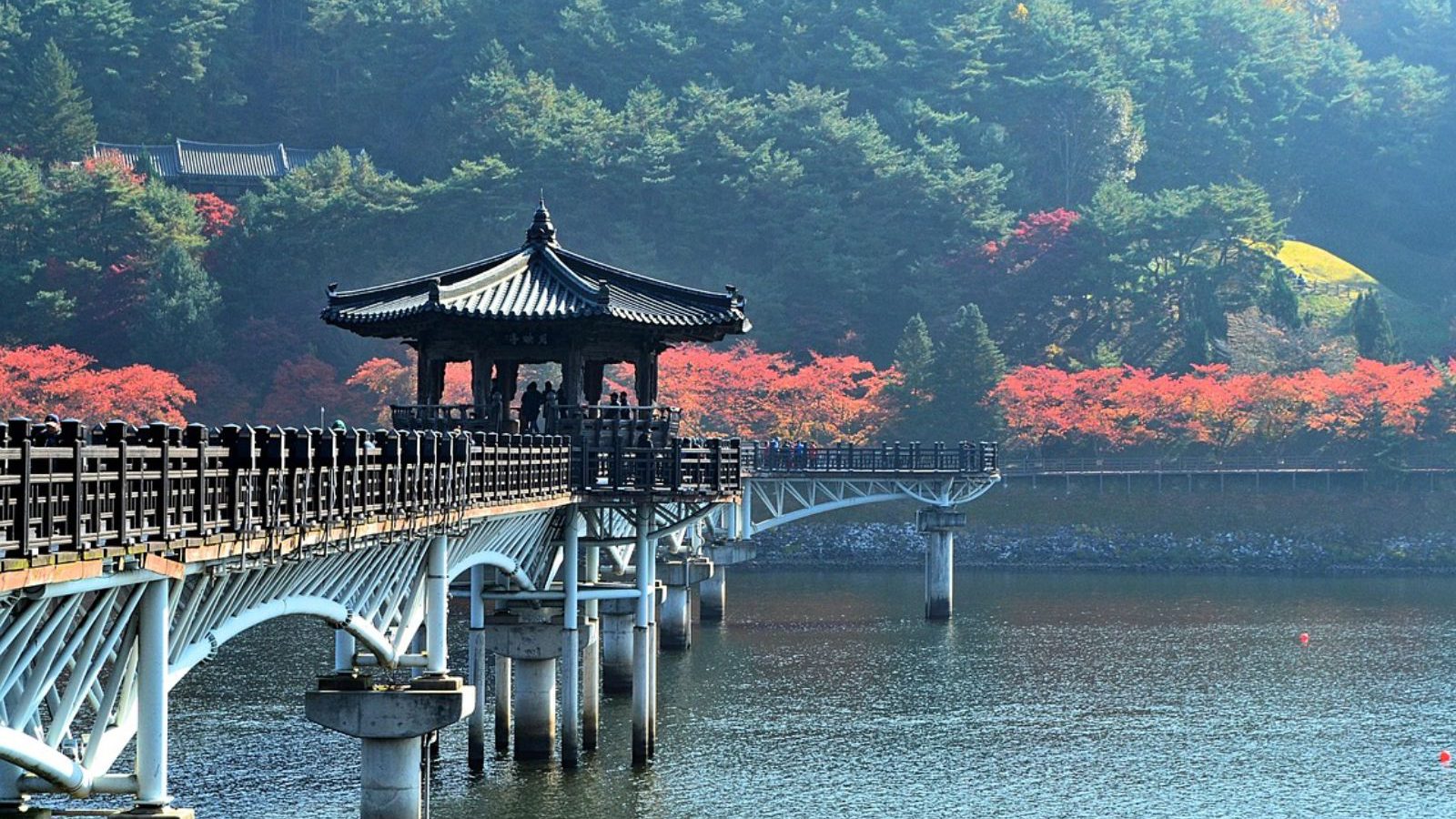Rondreis Zuid Korea, Andong, Brug