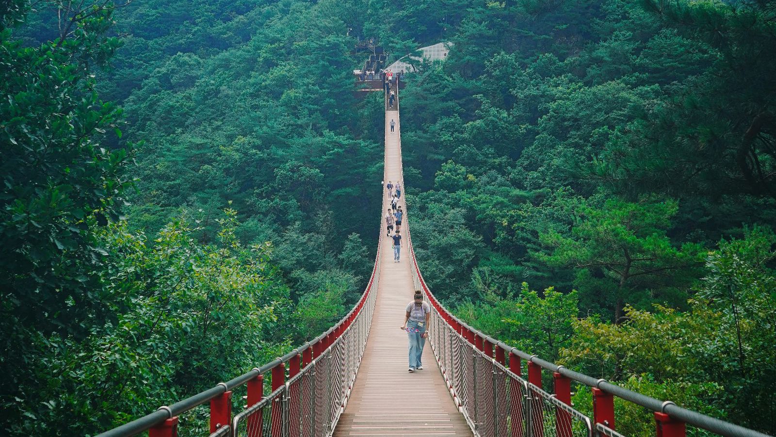 Rondreis Zuid Korea, DMZ Demilitarized Zone, Brug