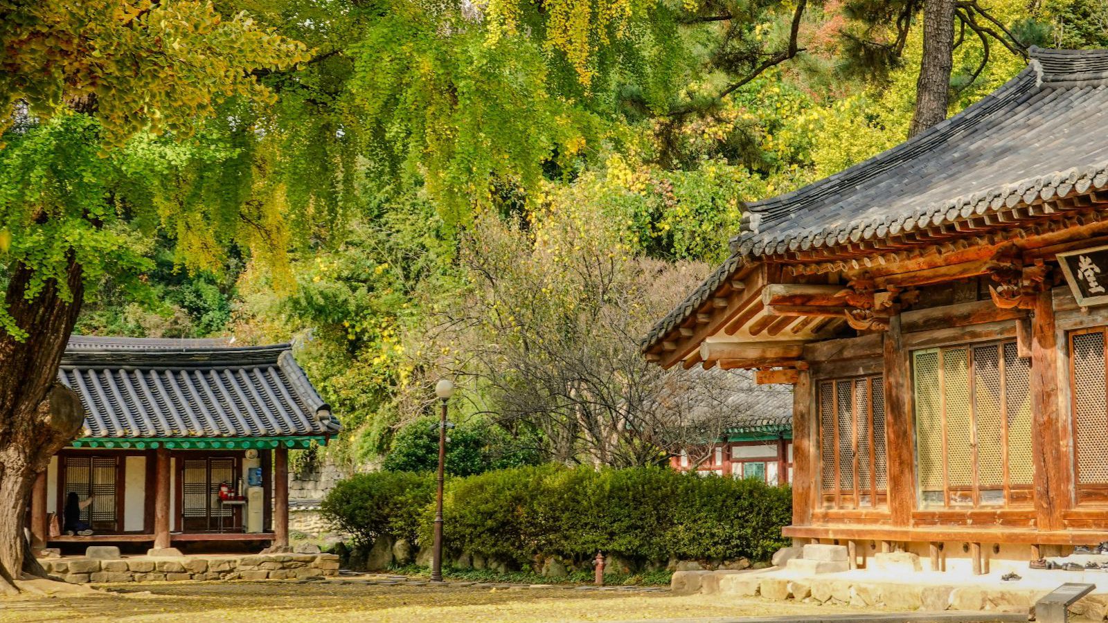 Rondreis Zuid Korea, Jeonju, Tempel met bomen