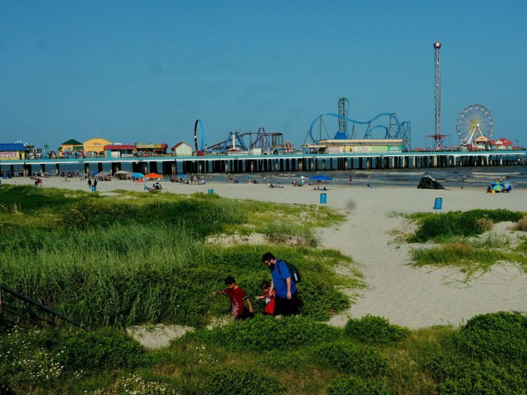 Hoogtepunten | WRC Reizen