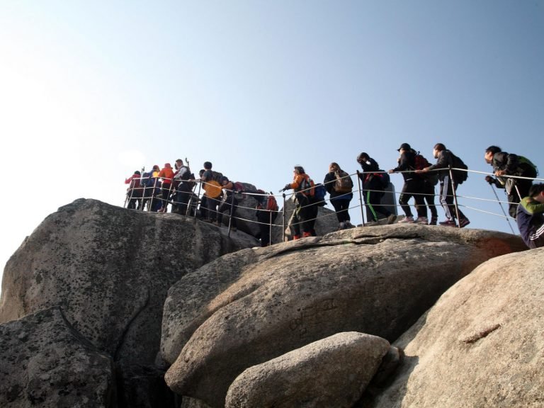 Excursies | WRC Reizen