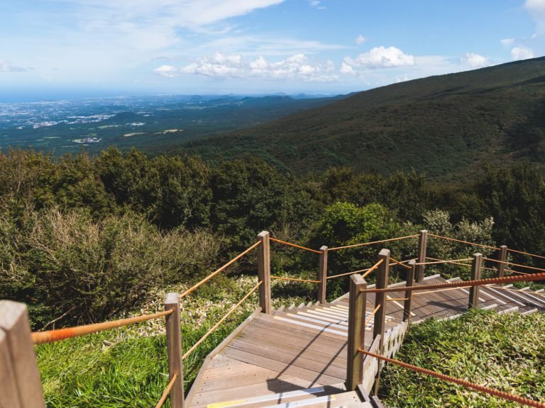 Excursies | WRC Reizen