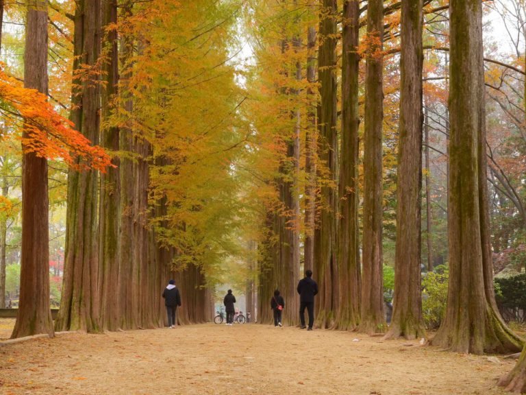 Excursies | WRC Reizen