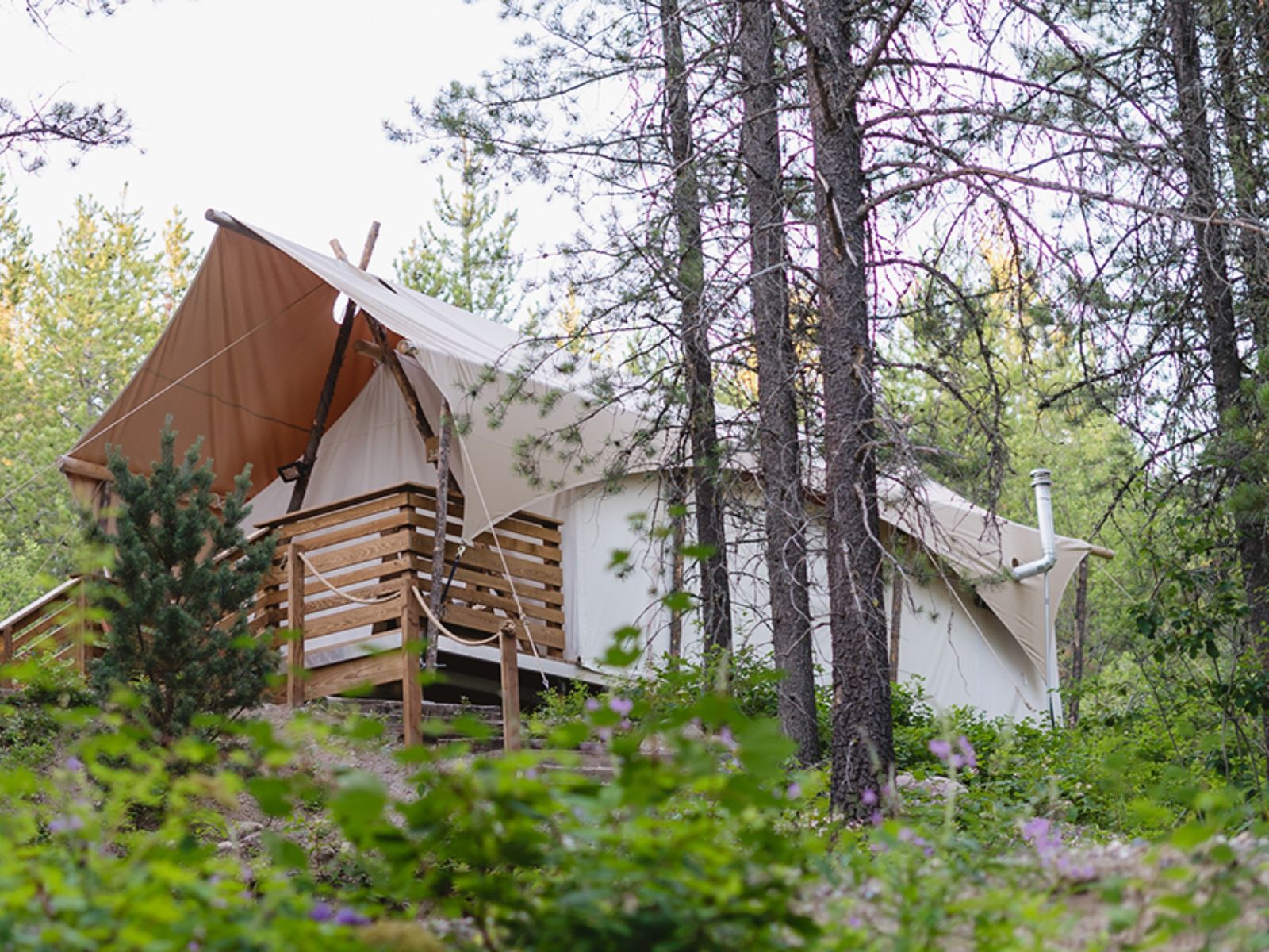 Rondreis Amerika, Glacier NP, Under Canvas Glacier, Tent buitenaanzicht met groene bos omgeving