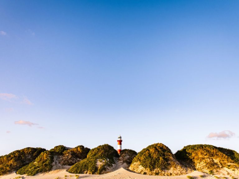 Hoogtepunten | WRC Reizen