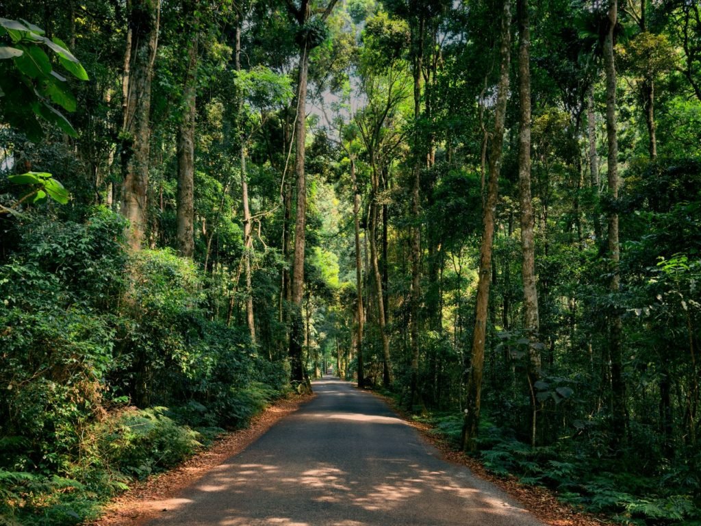 Hoogtepunten | WRC Reizen