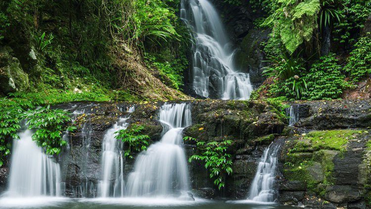 Rondreis Australië, Lamington National Park, watervallen