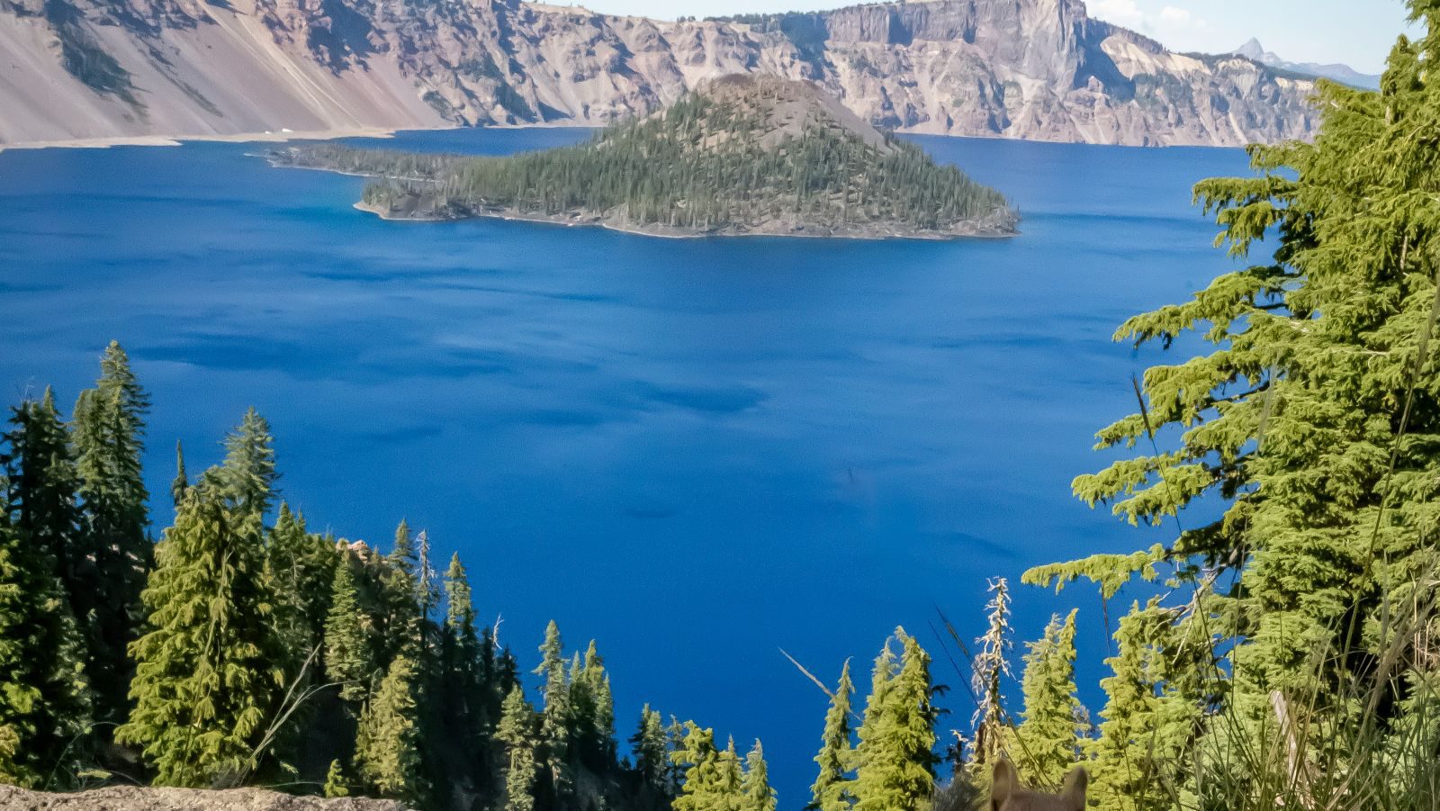 Rondreis Amerika, Crater Lake National Park, Meer tussen bergen met eekhoorn