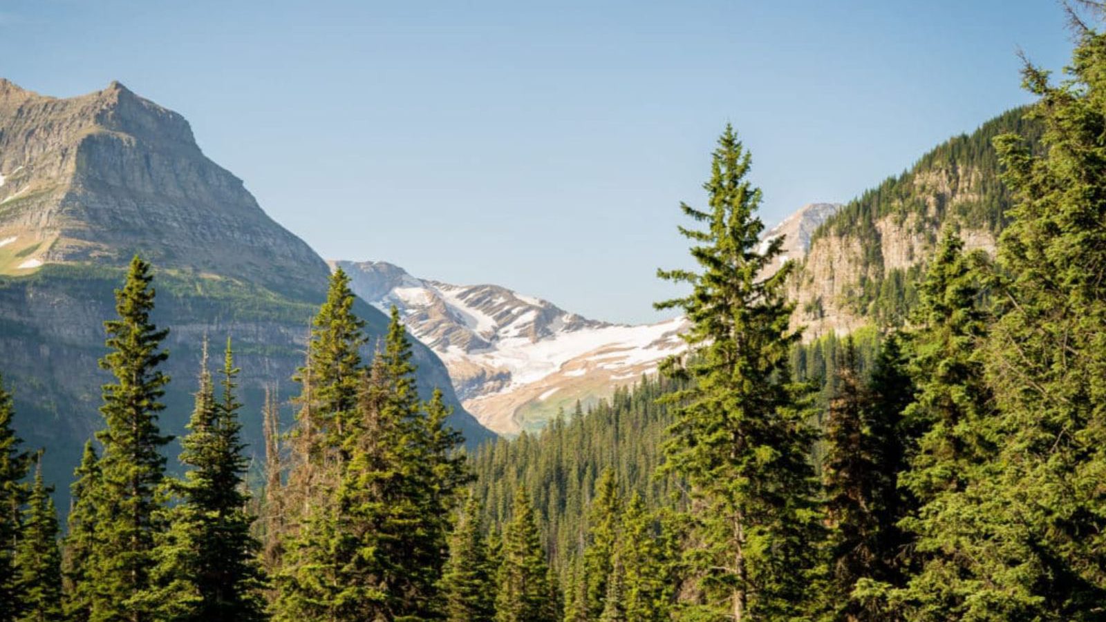 Rondreis Amerika, Glacier NP, Under Canvas Glacier, Bossen en bergen in de omgeving