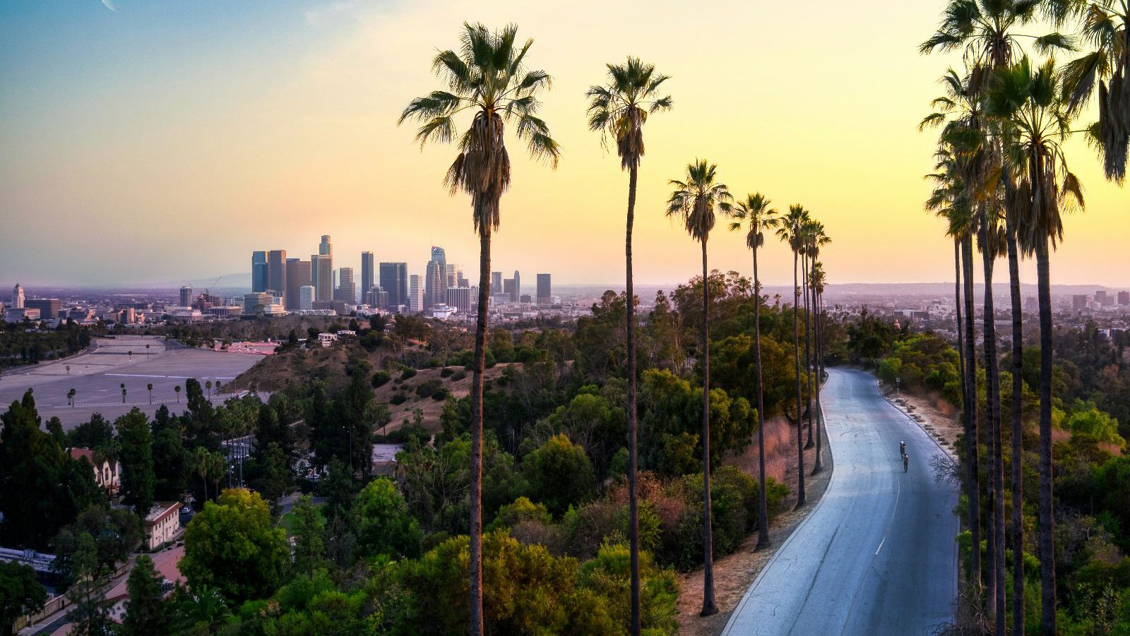Rondreis Amerika, Los Angeles, weg met palmbomen met LA in de verte