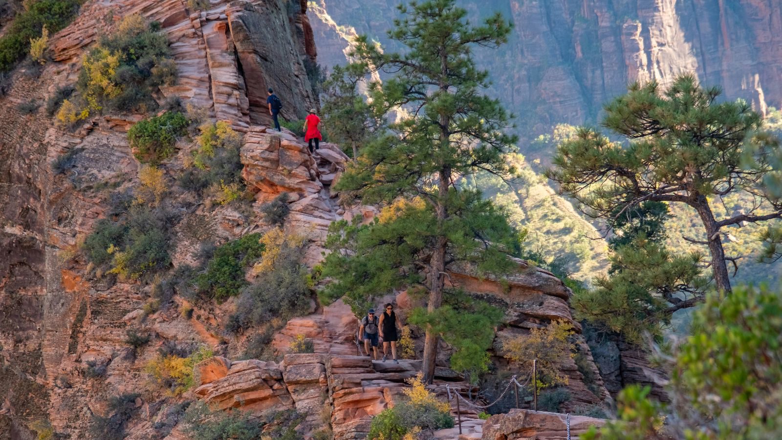 Rondreis Amerika, Zion N.P. & Springdale, hikers op rode gesteente