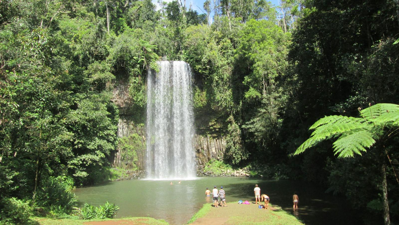 Rondreis Australië, Atherton Tablelands, Milla Milla waterval
