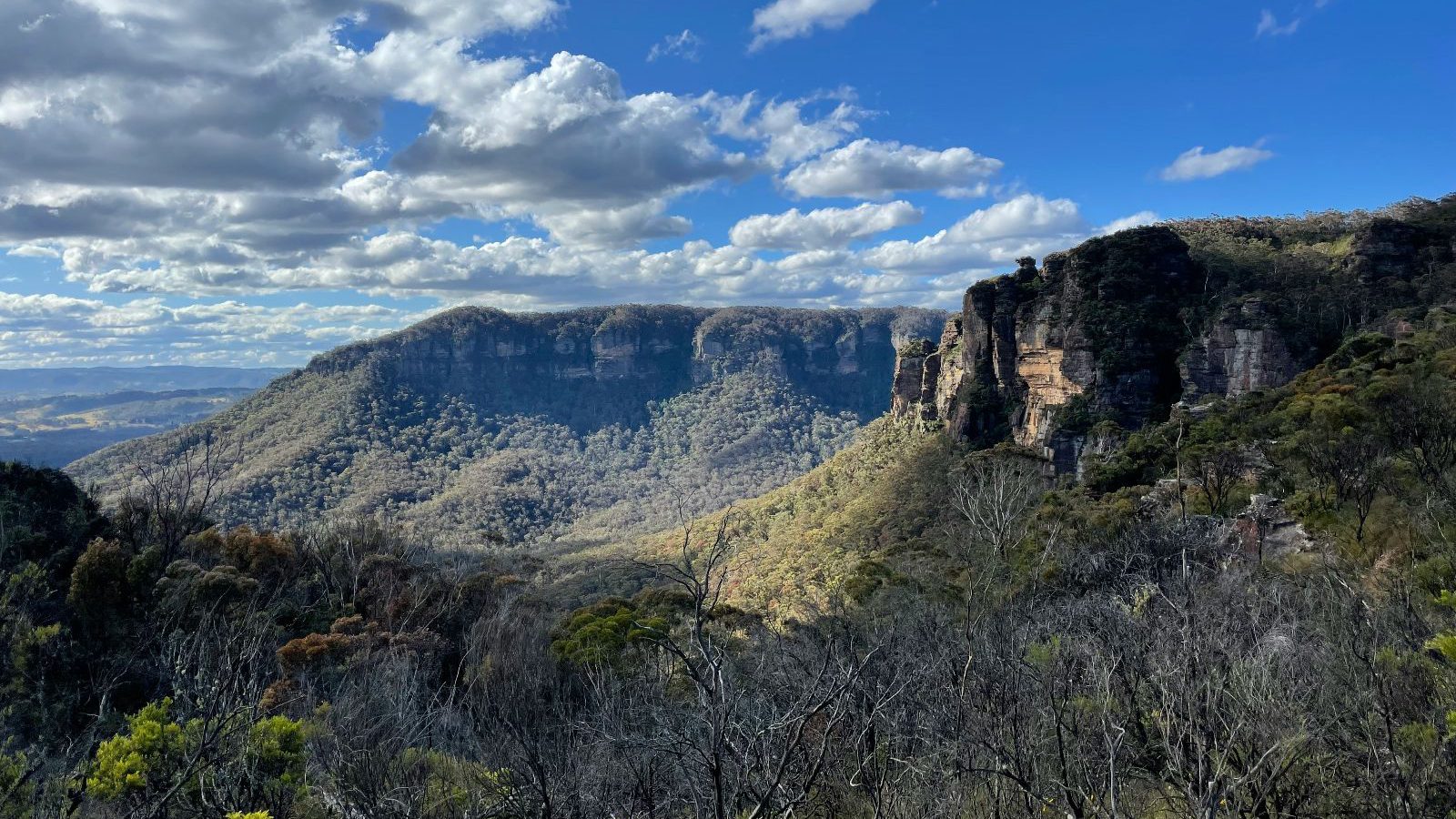 Rondreis Australië, Blue Mountains, vallei in de zon