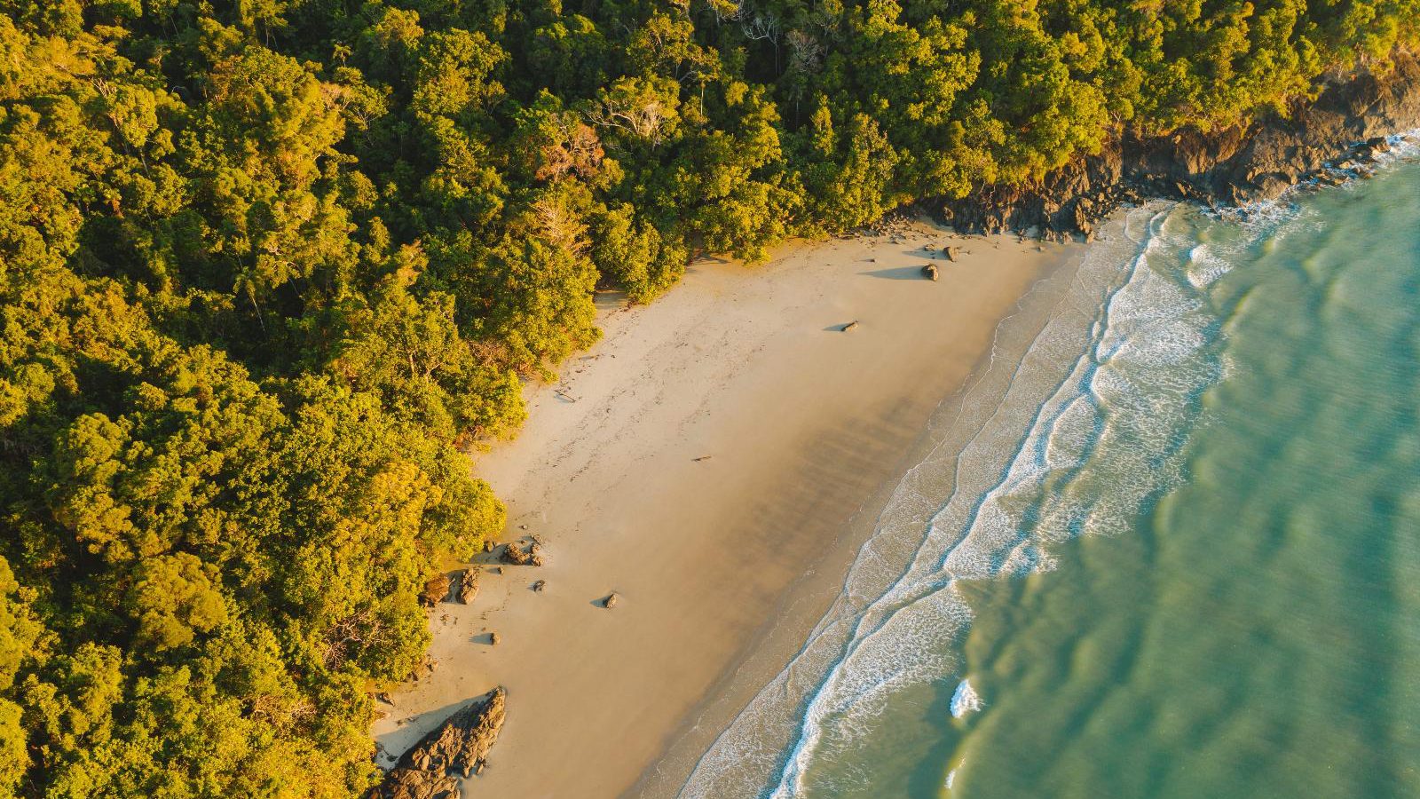 Rondreis Australië - Cape Tribulation - zee en natuur - Tourism Australia