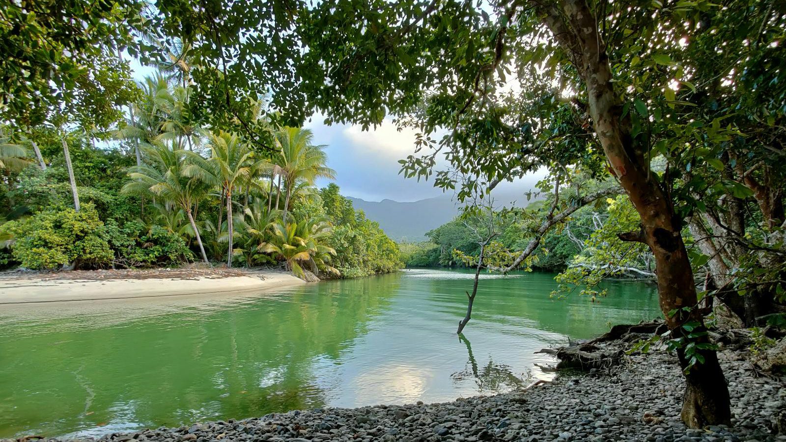 Rondreis Australië, Daintree en Cape Tribulation, rivier in regenwoud