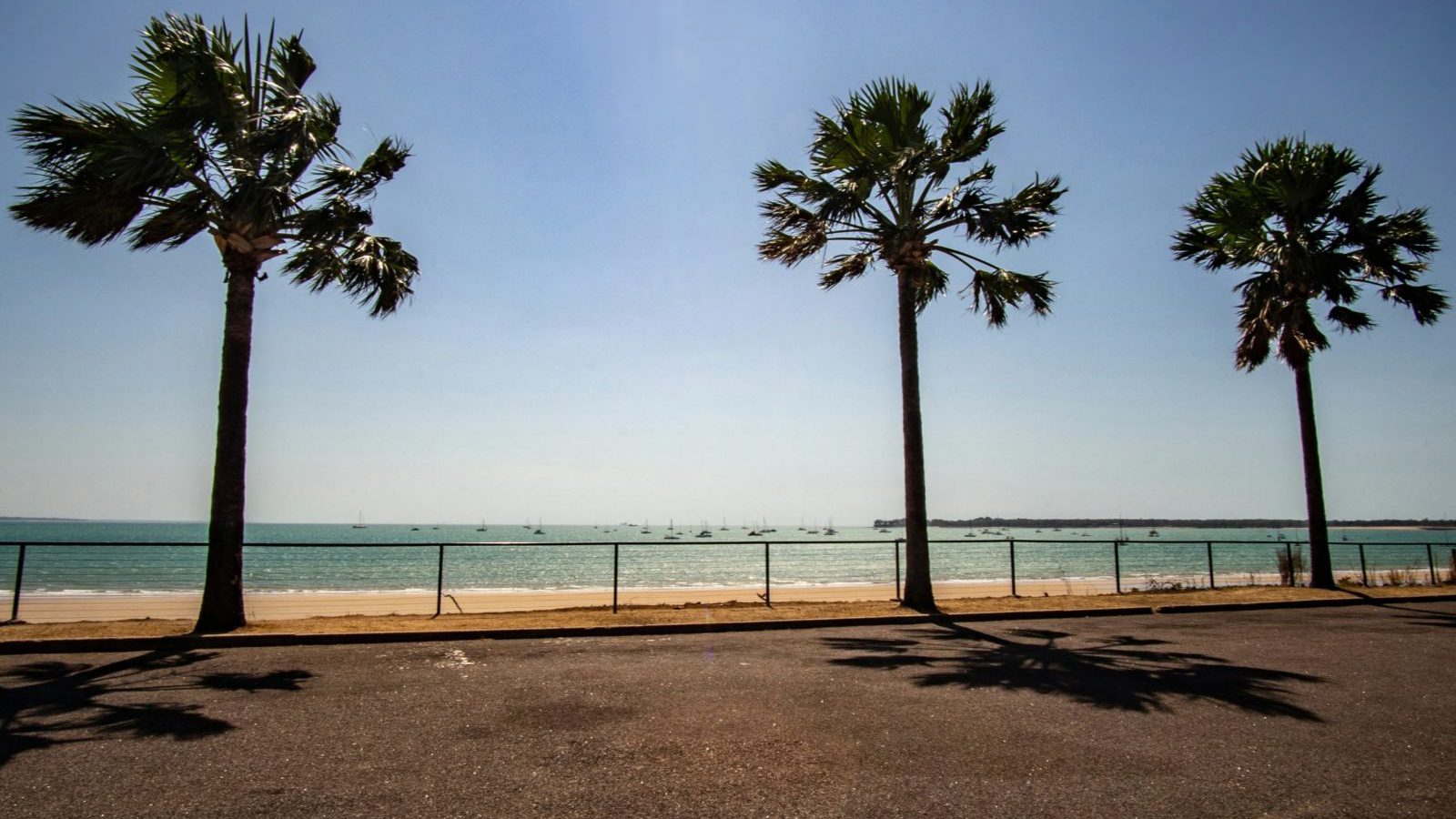 Rondreis Australië, Darwin, palmbomen bij het water
