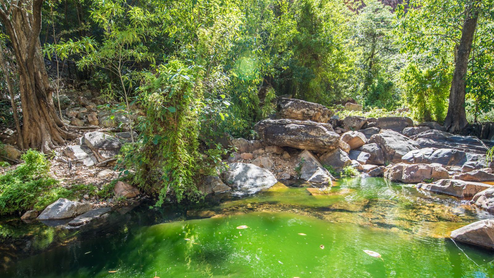 Rondreis Australië, Emma Gorge, Groen Wter Met Bomen Rondom