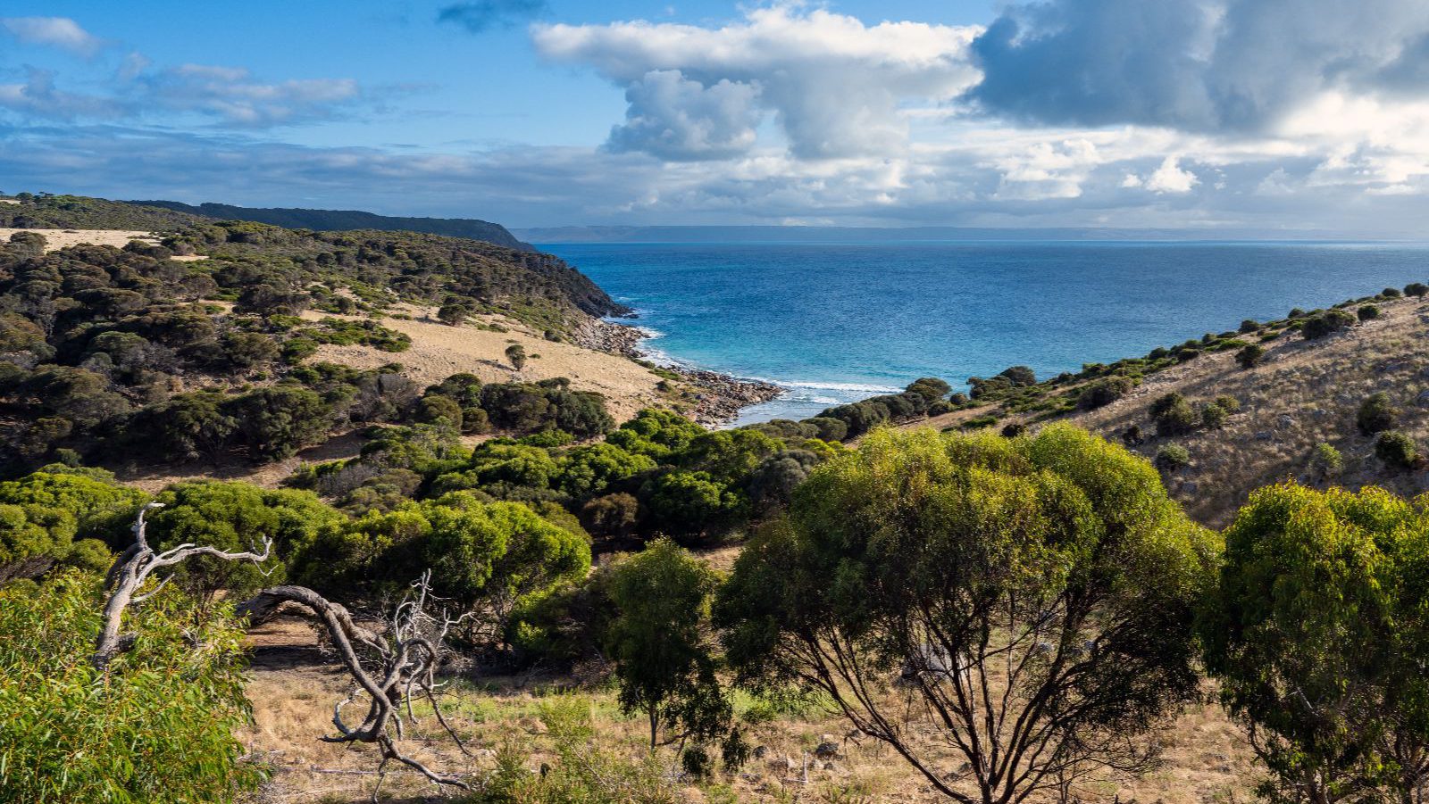 Rondreis Australië, Kangaroo Island, Kustlijn vanaf groene heuvel