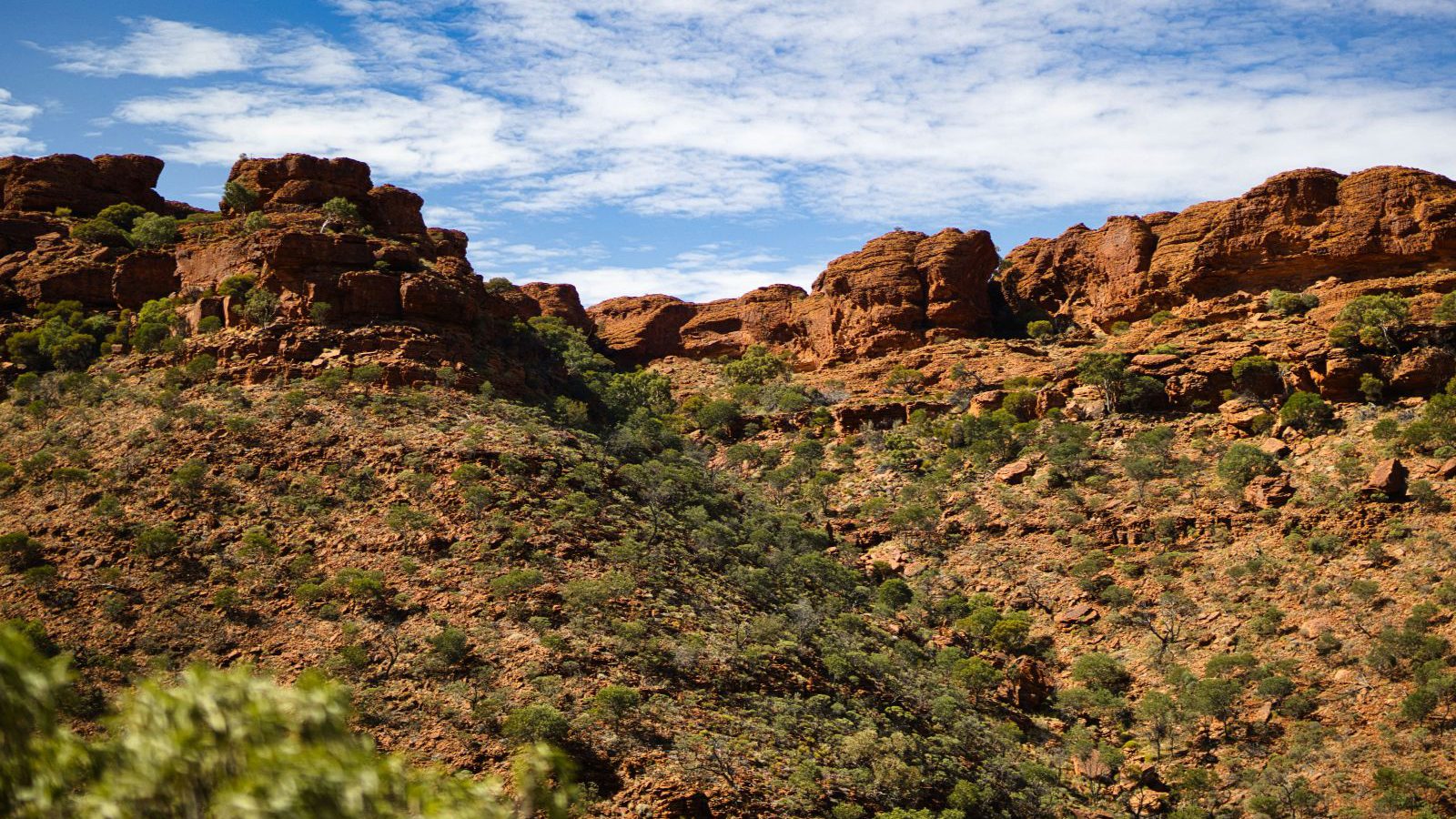 Rondreis Australië, Kings Canyon, rotsen en groene vallei