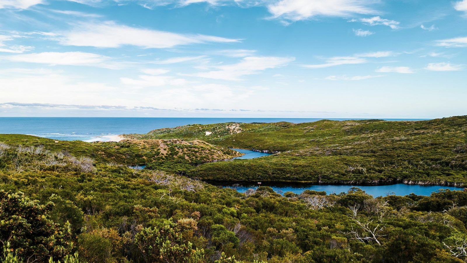 Rondreis Australië, Margaret River, Groene omgeving met rivier tussendoor