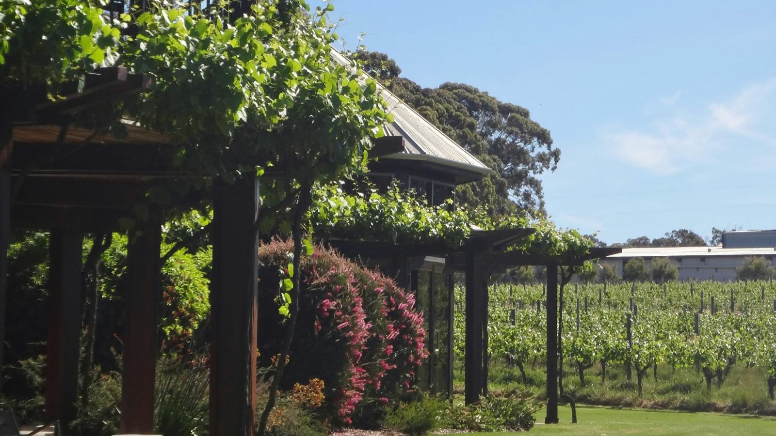 Rondreis Australië, Margaret River, wijnhuis