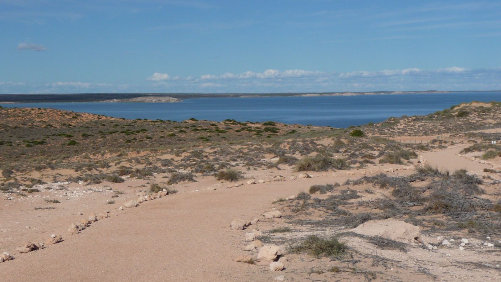 Rondreis Australie, Monkey Mia-Shark Bay, weg