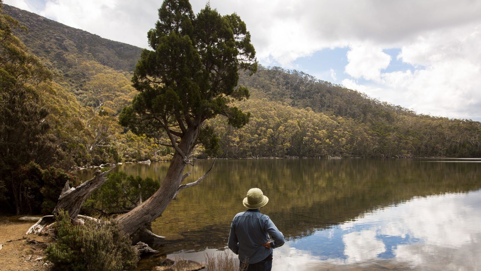 Rondreis Australië, Mount Field National Park, Persoon die uitkijkt op meer, Tourism Australia