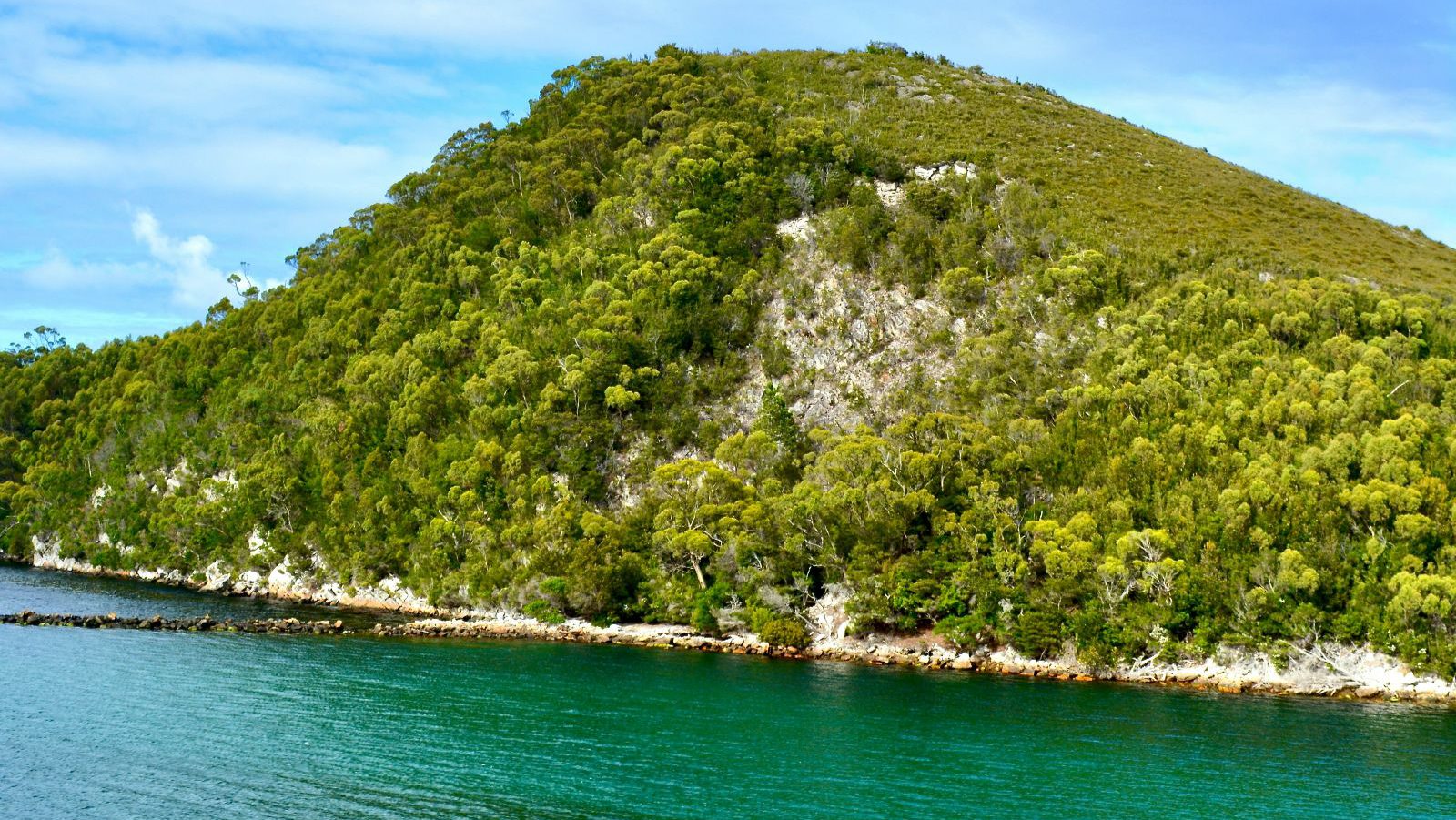 Rondreis Australië, Strahan, Groene berg op water