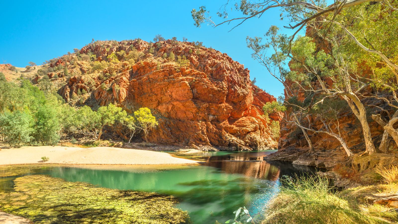 Rondreis Australië, West MacDonnell Ranges, Ellery Creek, Poel Met Bomen Rondom