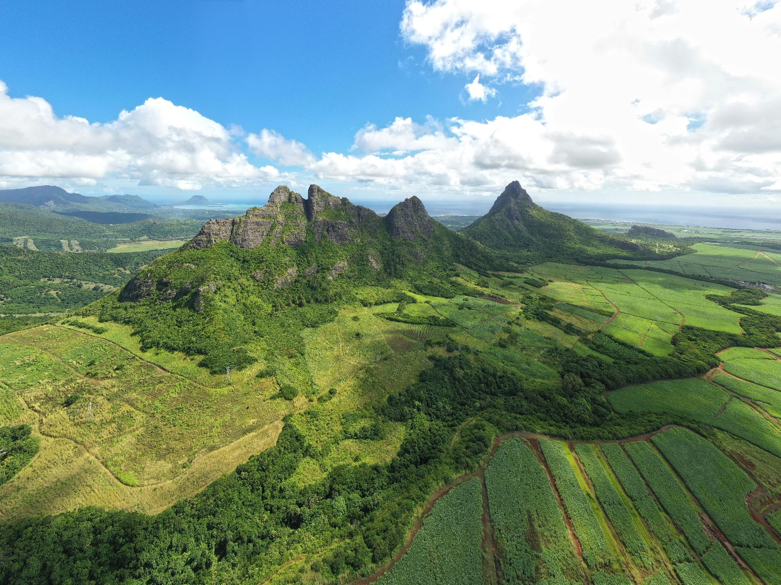 Rondreis Mauritius, Black River Gorge National Park, omgevingsfoto
