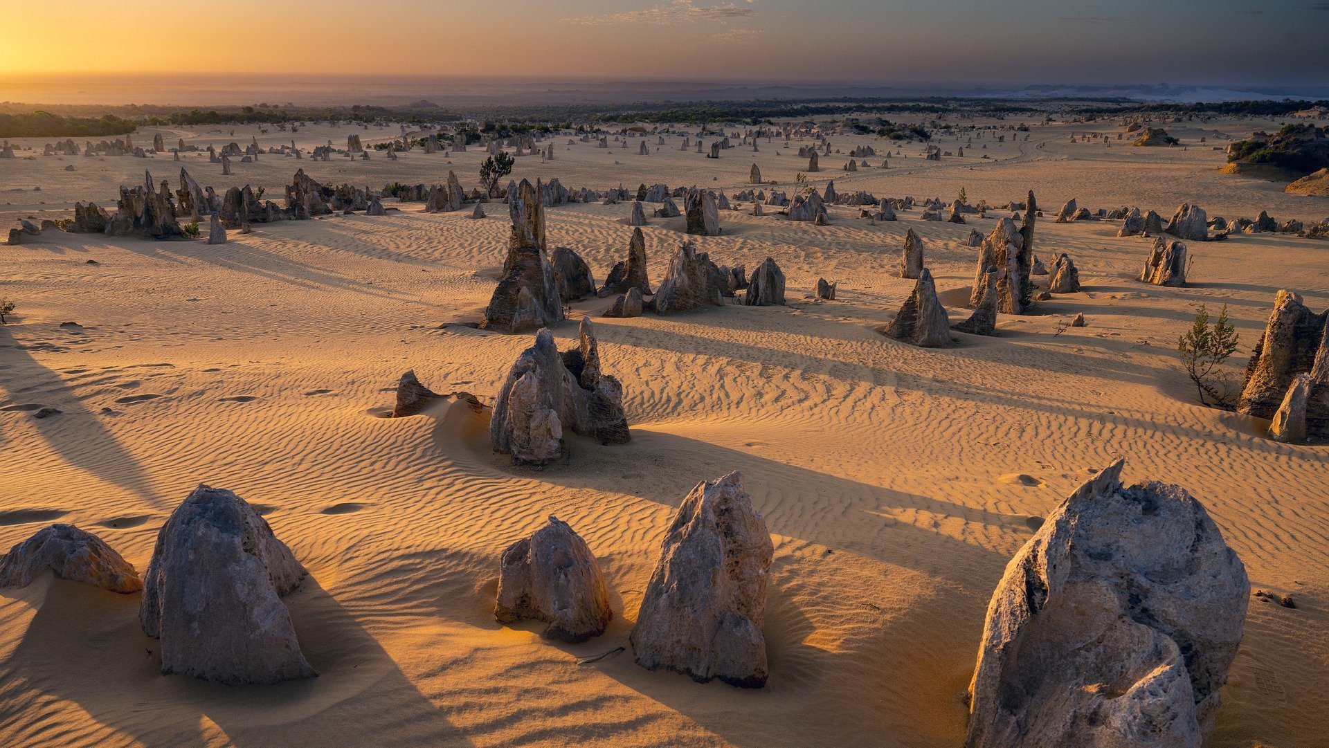 Rondreis Australië, Cervantes, PInnacles desert